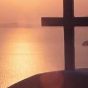 Meet your Posher, Abbey